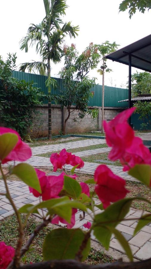 Thomasha Homestay Wellawaya Exterior foto